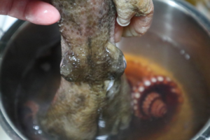 タコの下処理の方法①