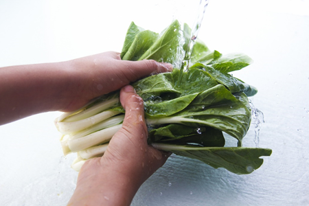美味しい小松菜の見分け方と保存方法
