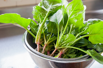 ほうれん草の栄養を上手にとるコツ