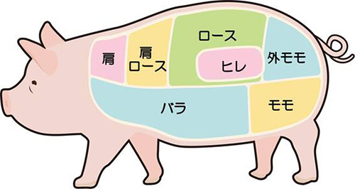 豚肉の部位
