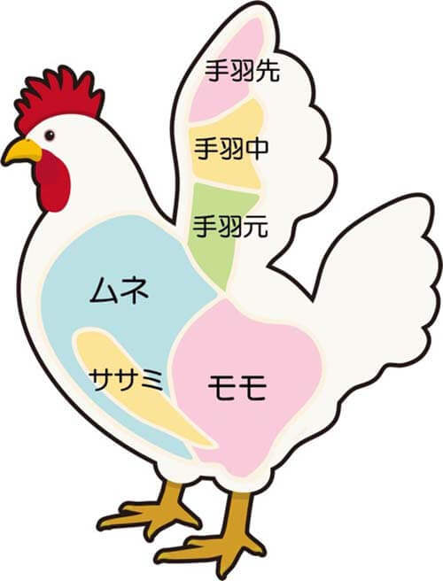 鶏胸肉と鶏もも肉の特徴とは
