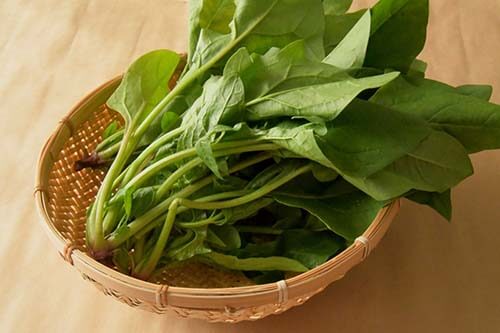 冬のほうれん草は栄養価が高い!